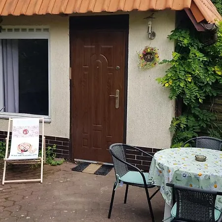 Sowa Nad Jeziorem Gm Murowana Goslina *