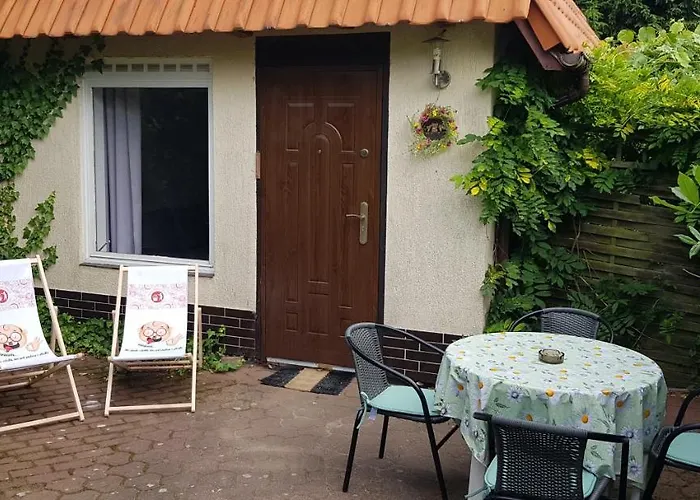 Sowa Nad Jeziorem Gm Murowana Goslina *